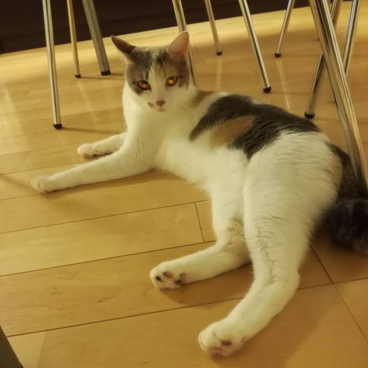 568e5699 06ce 4f28 bb11 bfcc727cd473 1536923665508