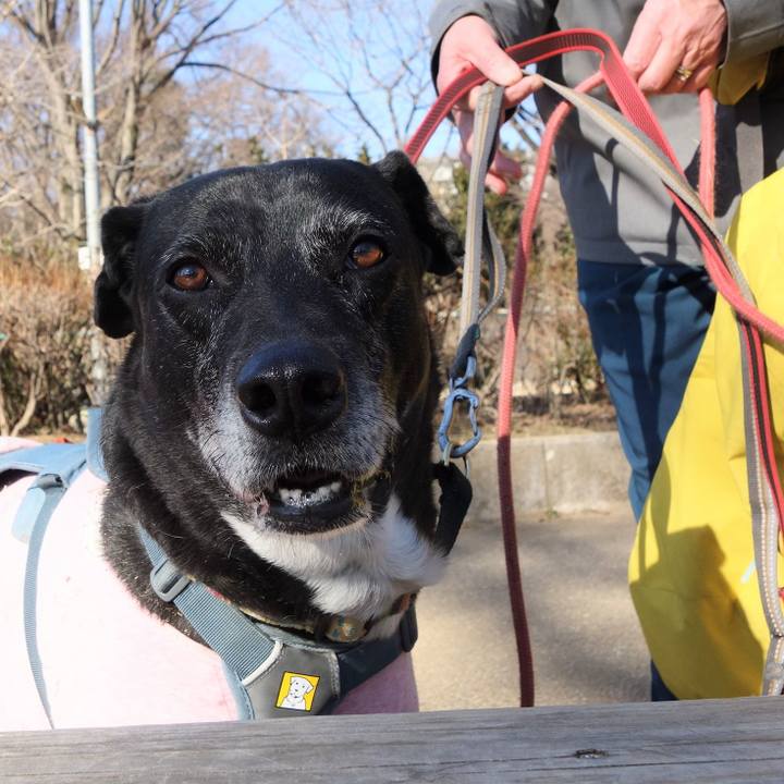 568e5eeb b98d 44d7 b662 3d9733247324 1740616791346