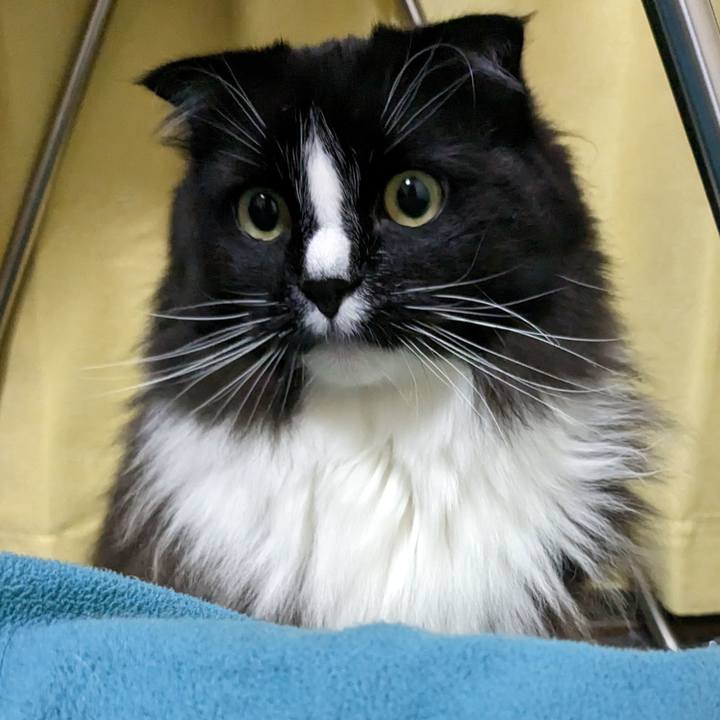 568e7613 f6bf 459a a161 5b232f3b62e2 1682594493810