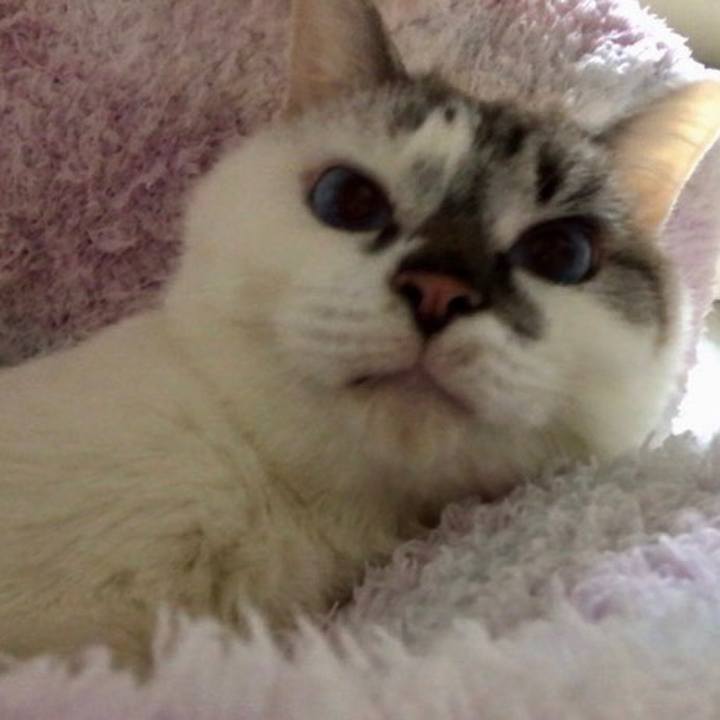 568eaa69 4c1d 45f9 931d ffc8829c4093 1544228274185