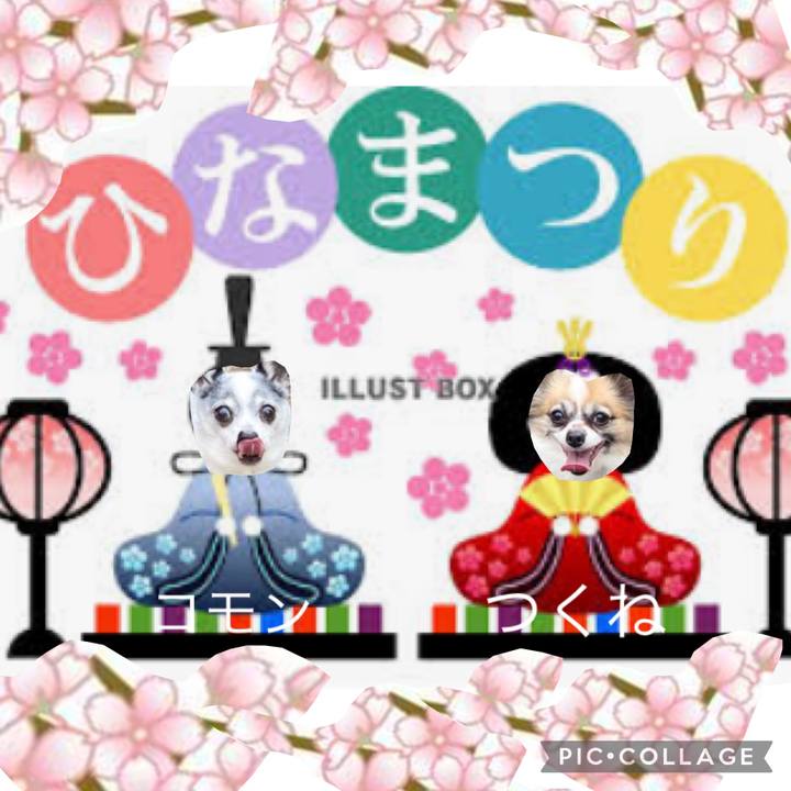 568ef0bc 7066 4cfb 9527 110654b959cc 1646274605567