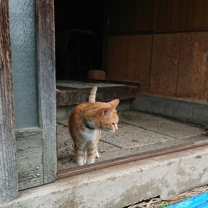 568efc8d 34e2 447e b607 a4f78db63c40 1594441538918