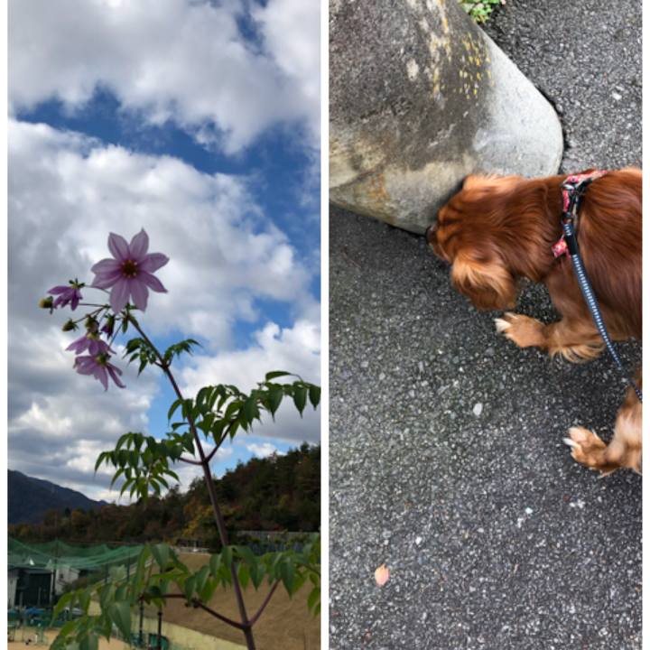 568f00dc 440d 46e4 90d3 f770b4b018b5 1543035126274