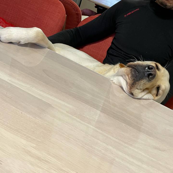 568f1979 ccf9 4953 82ff 68668c8077f0 1651059045066