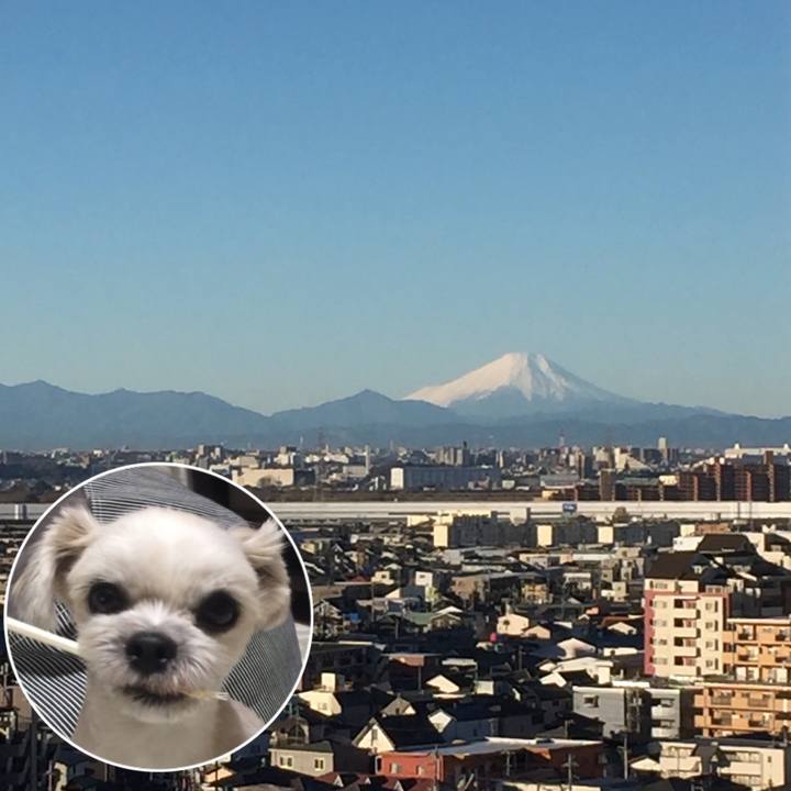 568f1c31 a5d4 4620 a934 7aeae8e9e3ad 1546507145024