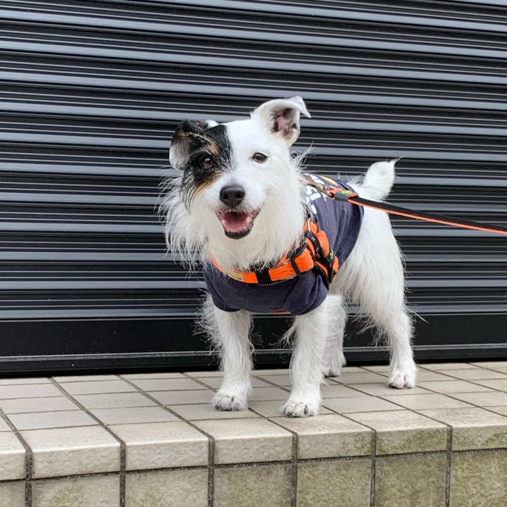 568f6759 6b59 41dd 98f5 abff1a0955c6 1681457447926