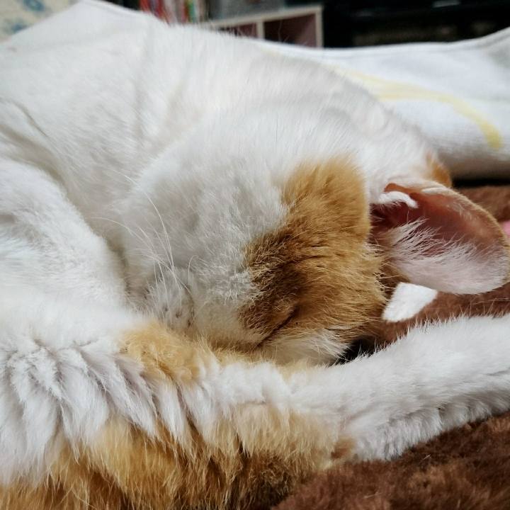 568f7e79 fc37 47cd b27e 4638227979e1 1525081706295