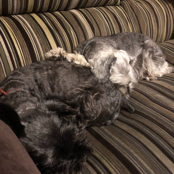 568f80ac 39c4 4633 a665 2af7c87207f3 1559138701661