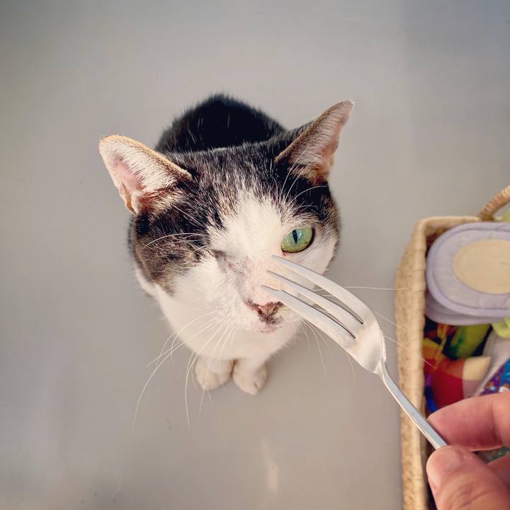 568fa455 0de7 4e27 92f0 472d518d19a7 1602400684658