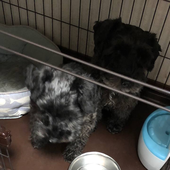 568faeb0 02b9 4cf0 8e72 d13114b81a8d 1572920251067