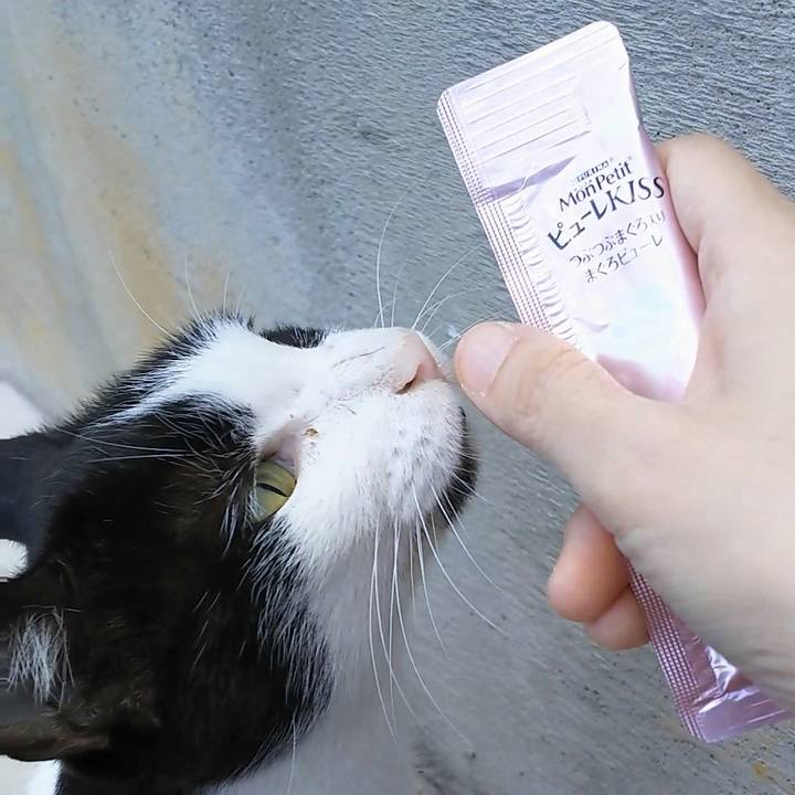 568fbddf 8c1d 4188 9ca0 0226f14958fe 1540701936319