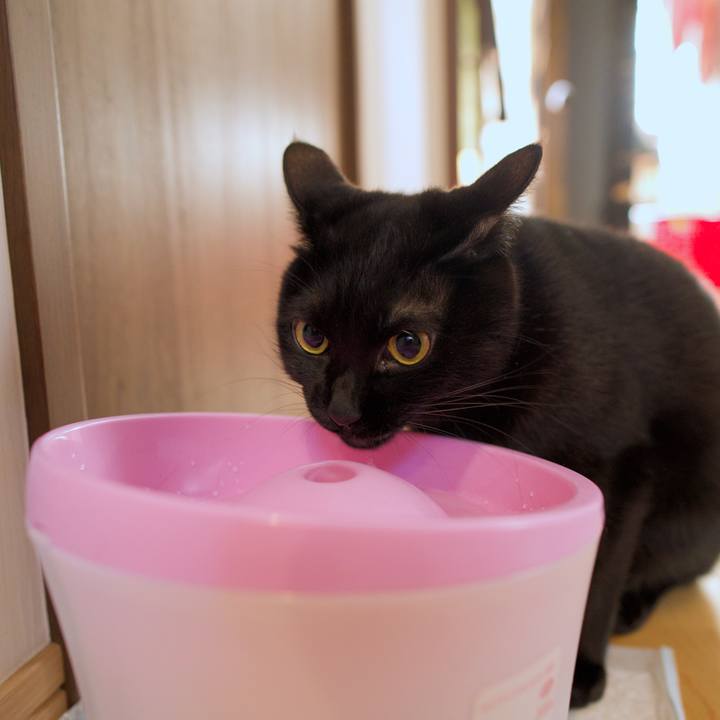 568fe8dd f35e 49bb 95e0 f58c98b723af 1582588331009