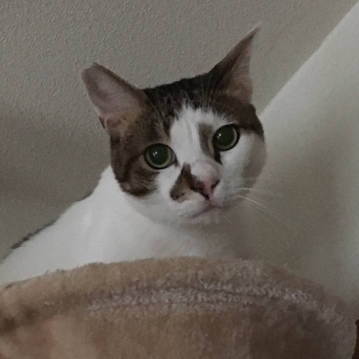 569016e7 84e1 4e97 be31 ea8494b5ff23 1509096126149