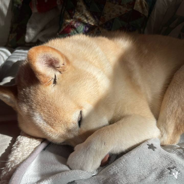 5690466a 37d4 4202 ba74 3fb2c62428bb 1734490844317