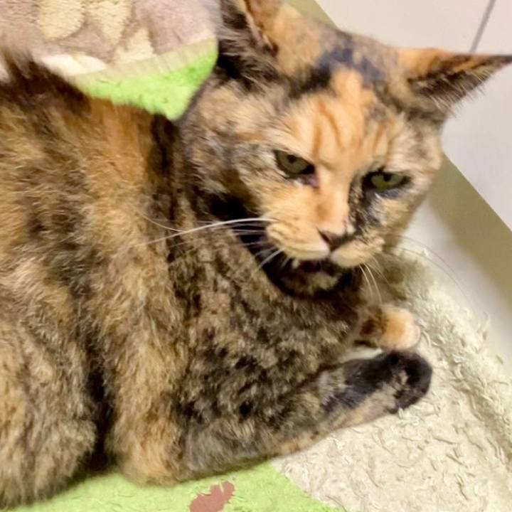 569090e5 5f1e 430c 8128 8a3db1f93ca0 1729676452790