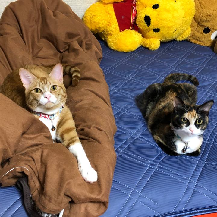 56909b1d 0cc4 43fa 8773 acd563be51b3 1563623402333