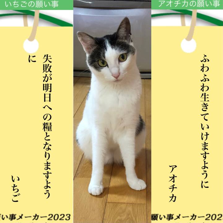 5690b3d6 8442 44b4 ad5e fa7f64de70d9 1688722535953