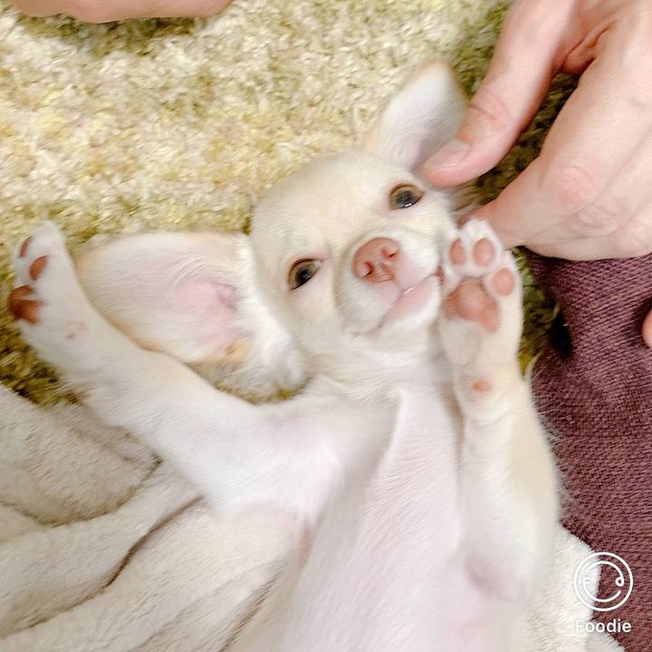 5690e849 7a61 4ac3 9fcd 4866449a3b29 1592730074193