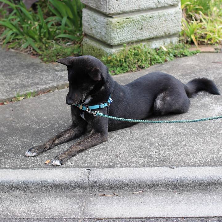 56910b94 1900 4e6b 925e 45c545cae676 1524052026586