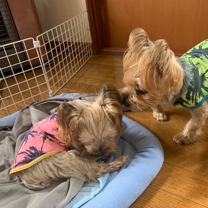 569188b8 0c0d 45d2 81a8 21f886d89f00 1652781099896