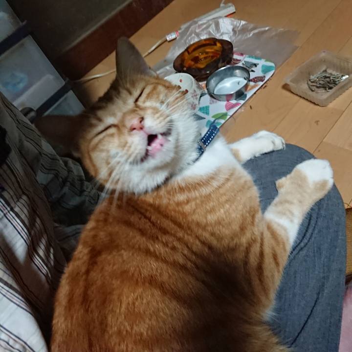 5691a20d 5c22 47a9 96c7 be9a8091a5f5 1600857227709