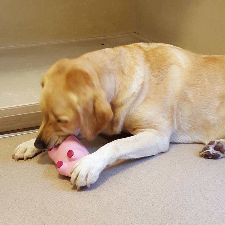 5691b8fa 4045 4d9d b746 d4b1a1f21342 1508124341991