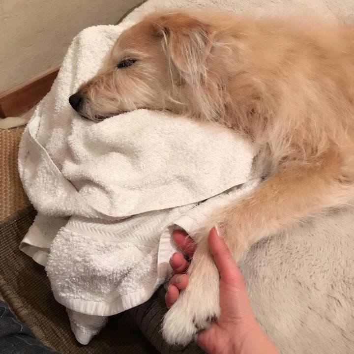 5691c5ac 4ba5 4785 9112 8d5f8e23feb7 1584197401655