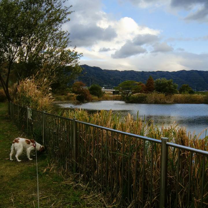 5691cd58 d707 4ffa 8e25 6ef503c7d1f9 1542876053632