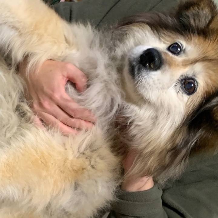 5691db07 89c8 49d6 b8b5 dae84e8f6ca2 1611504949149