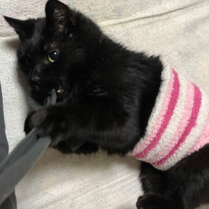 5691f11c 0d6a 40a2 8bcb 4f954baf9040 1610544700818