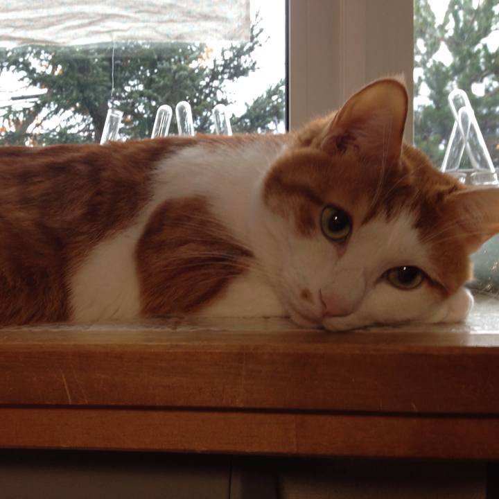 5691fe44 d6e6 42fd b950 ce496551756d 1509449774315