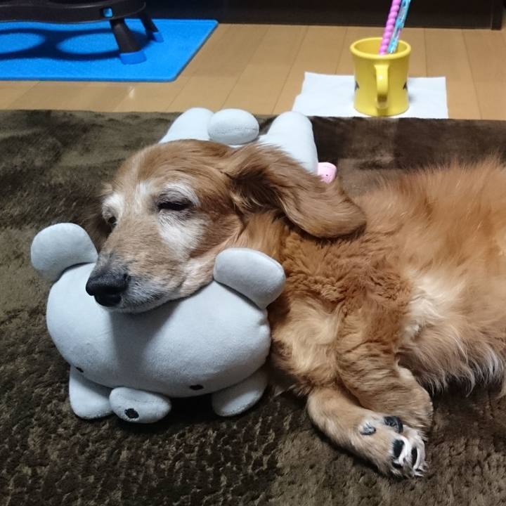 569204f7 c996 4668 8b22 b9fd1f36c529 1578507239421