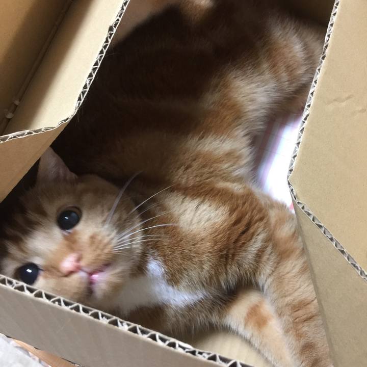 56920f9e 6ffe 4ff9 87d8 f2b9f1399b45 1590670656856