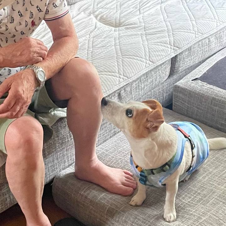 56921e79 17e4 46b2 8489 9bcfe7cd353d 1726309558153