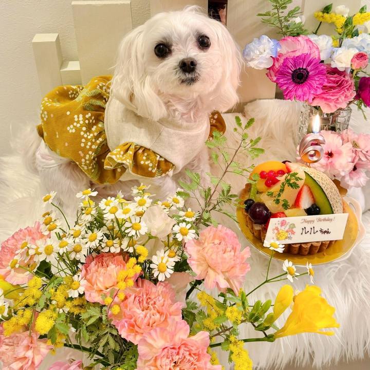 569223d8 643c 4f42 a14c 07745ce7a805 1742012689021