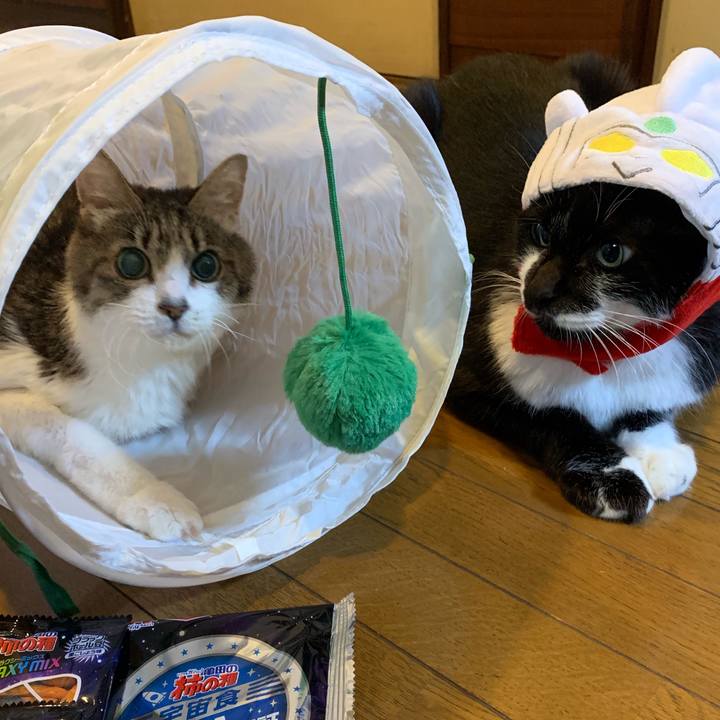 56924837 f7d4 49dd b0a8 91cf93b90f21 1572560438811