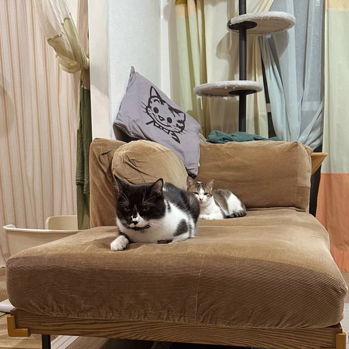 56924b73 f956 4281 8ff3 1e88cabad0e5 1761483522946