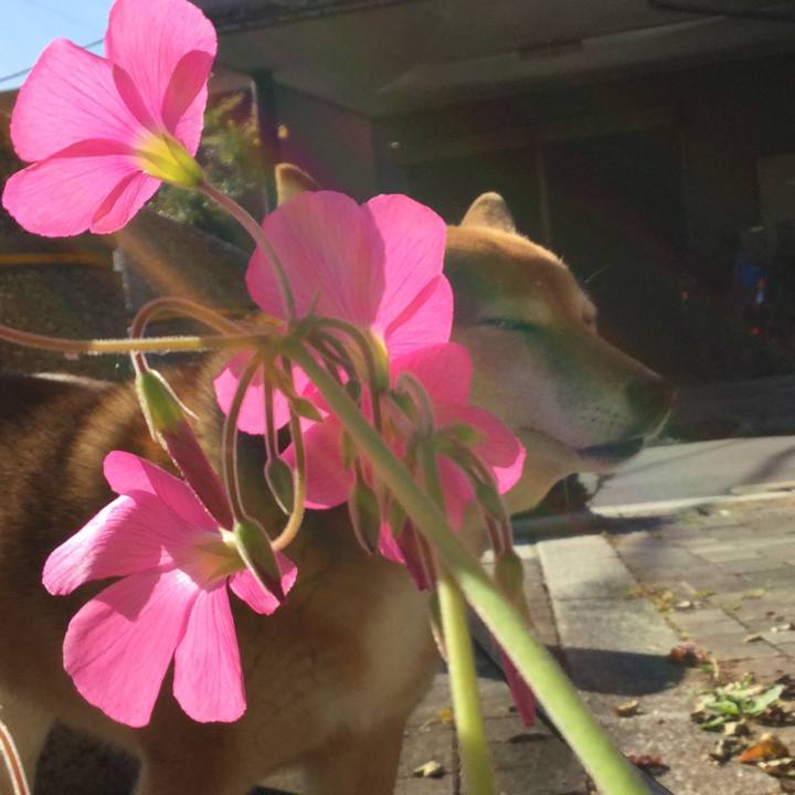 569273bc e10f 47a5 9c1a 3ae8212b5bdd 1540775834635