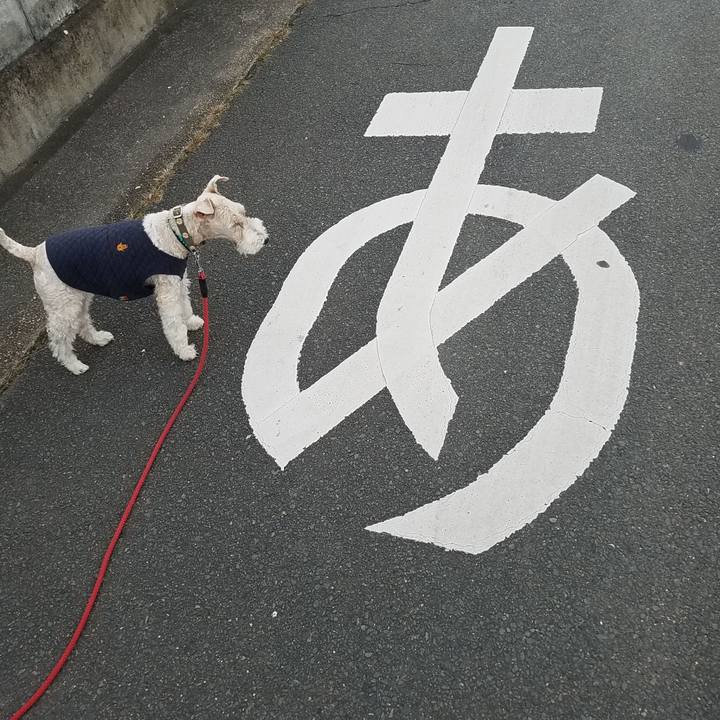 56927fcc fe2c 442b 824a 817854006afd 1540853574364