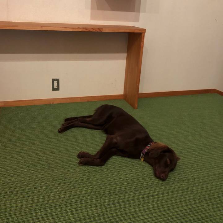 5692b96c 6533 44cc ae55 1fa3e471dbf3 1570894104046