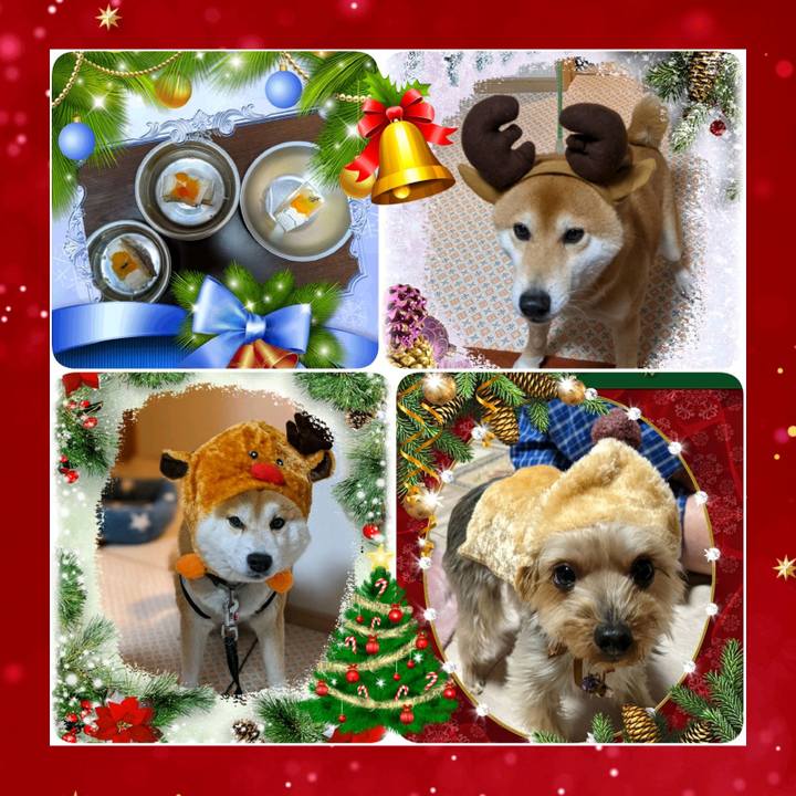 5692d648 aec1 4dbb b607 532a7d144d4c 1608811002679