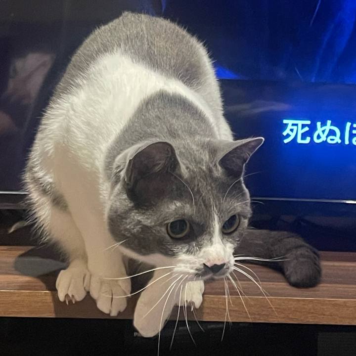 5693478a e0e7 4bd0 9508 f8366350e9e9 1651674844437