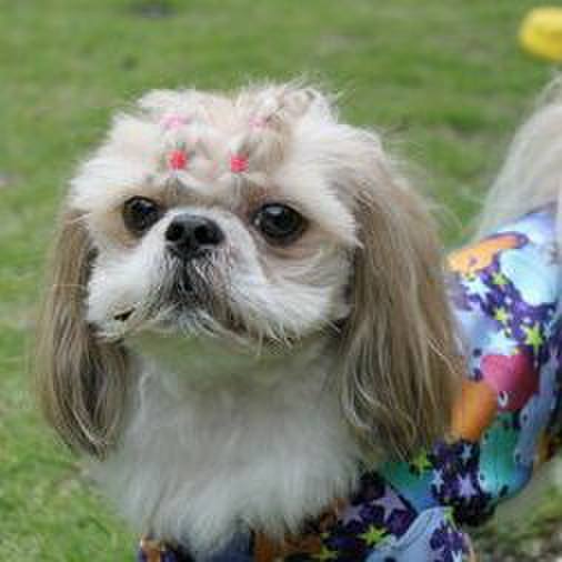 569369b6 10c5 4919 a085 32f92afd8b85 1570369685173