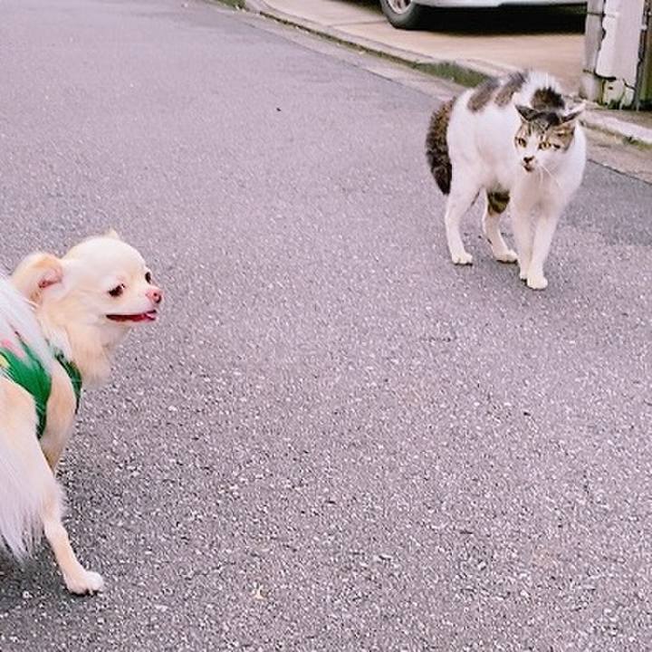 5693784c c6a1 435a 8c4e 5d40fa2eaece 1628423683081