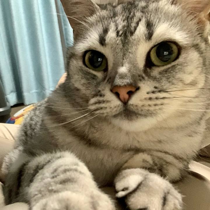 56937dfe 18d0 43f5 98ad 0f77d93748b2 1654601948328