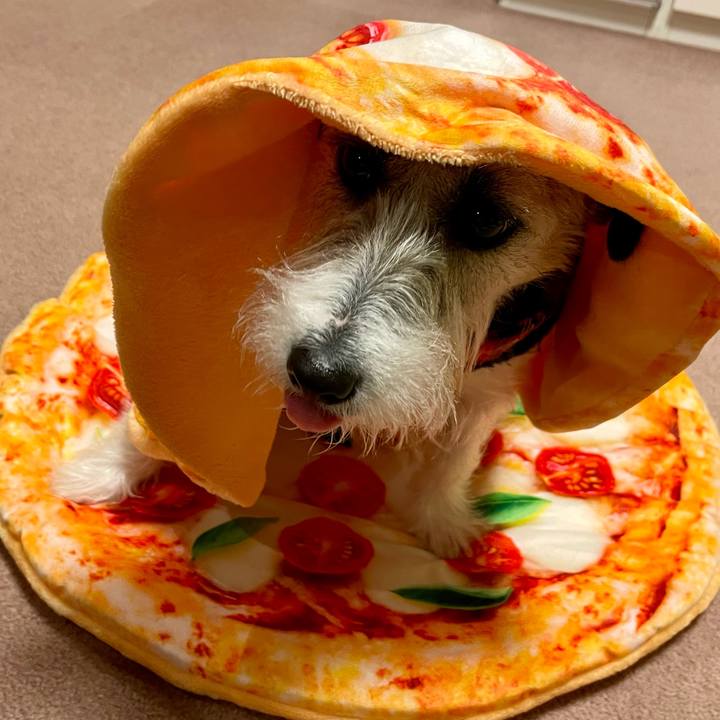 5693ddf0 127f 40a5 a28a 8325b5e1b657 1677851370850