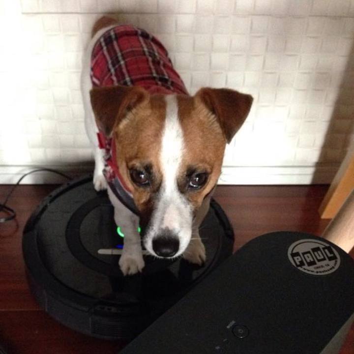 5694035b c523 4d96 b2a5 8ade67445f31 1680521848195