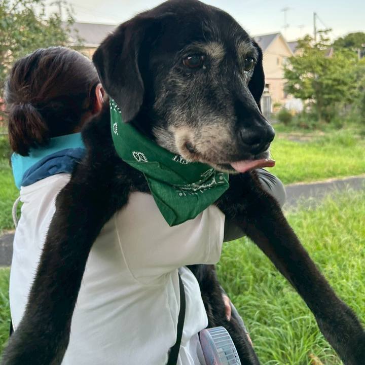 56940778 1b57 4081 bad3 c4a1a48982e0 1753699326382