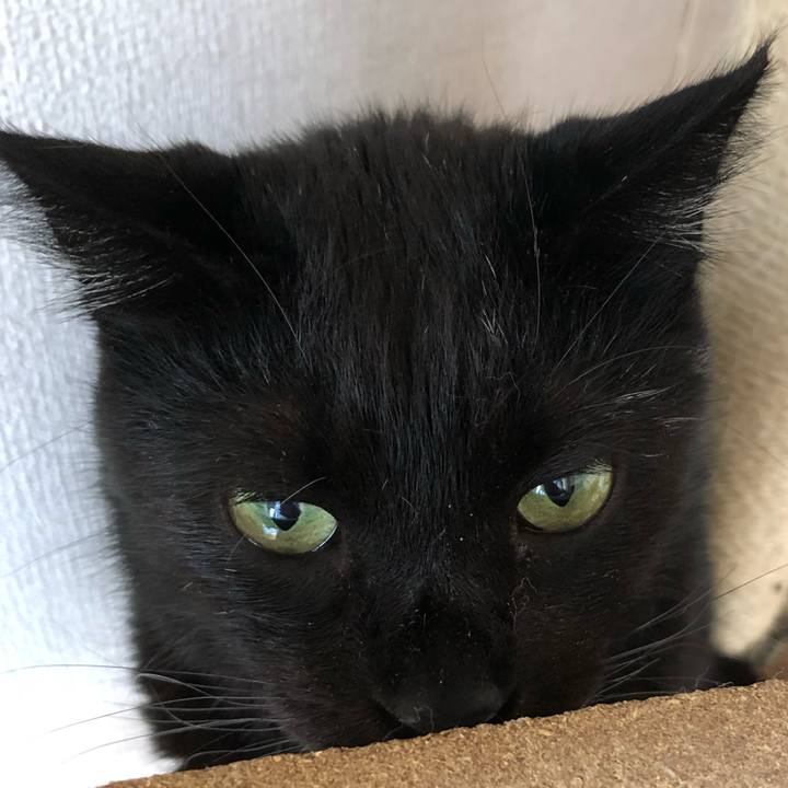 56941092 5905 4c23 9acb 7cf1f477f16f 1564189356643