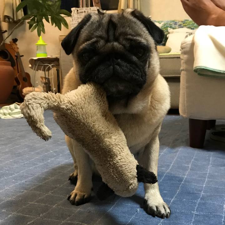 56941347 b118 4435 9b42 713f893f23cd 1534939858907